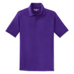 Sport-Tek Dry Zone Raglan Performance Polo blank apparel front view